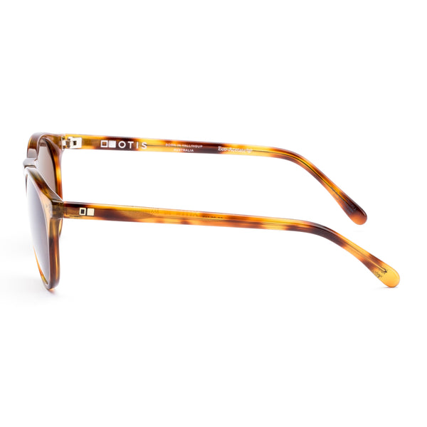OMAR - Eco Havana Zinnia / L.I.T. Brown Polar