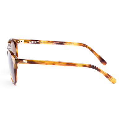 OMAR - Eco Havana Zinnia / L.I.T. Brown Polar