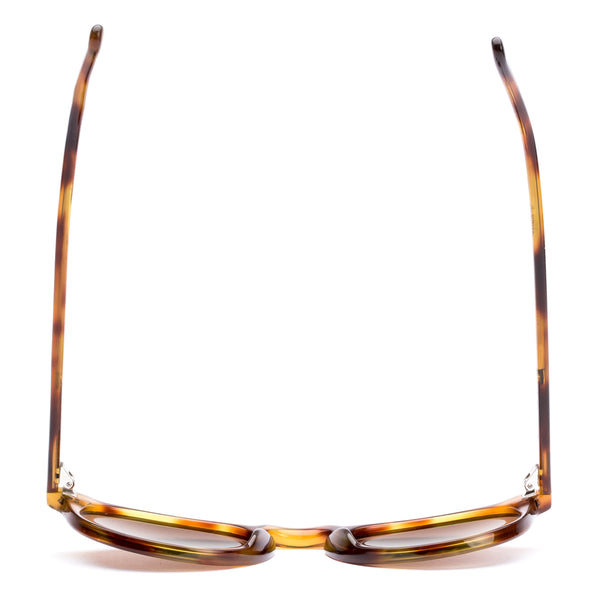 OMAR - Eco Havana Zinnia / L.I.T. Brown Polar