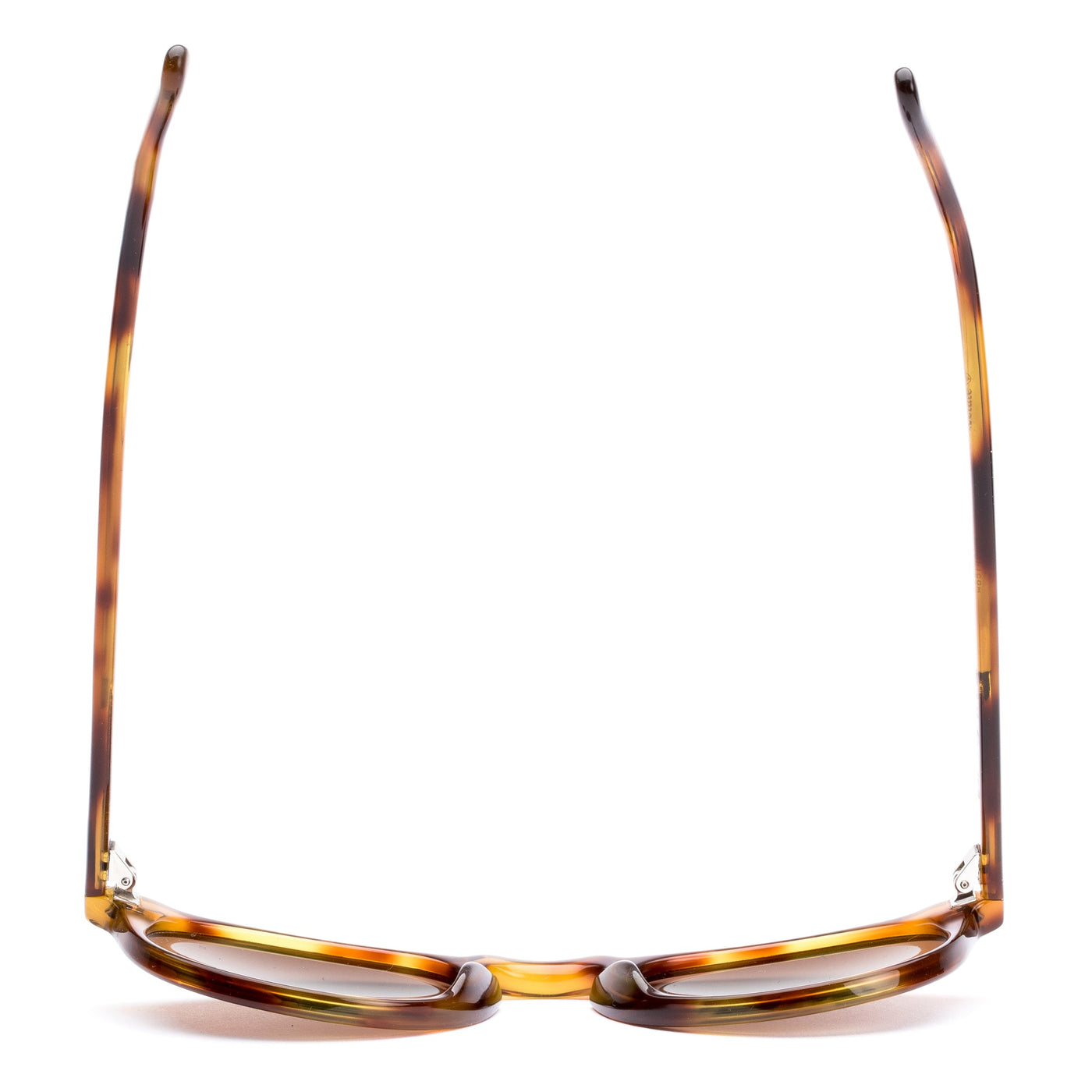 OMAR - Eco Havana Zinnia / L.I.T. Brown Polar