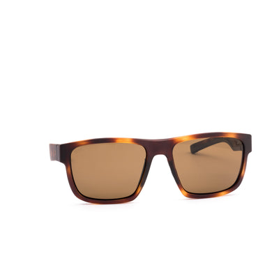 REQUEST SPORT - Matte Amberwood Tort / Brown Polar