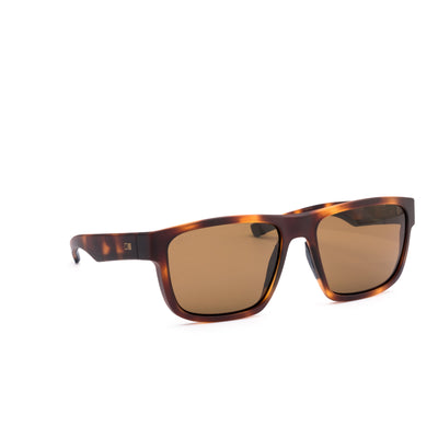 REQUEST SPORT - Matte Amberwood Tort / Brown Polar