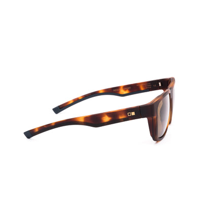 REQUEST SPORT - Matte Amberwood Tort / Brown Polar