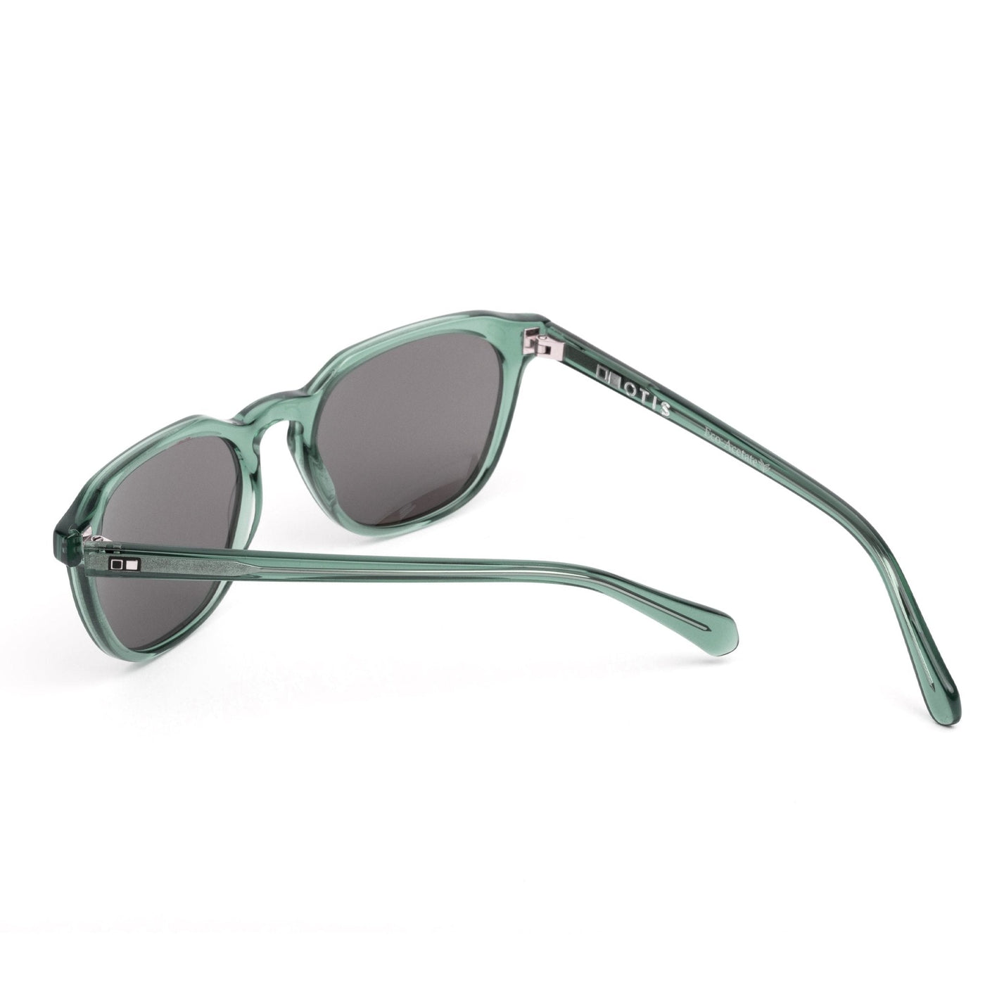 DIVIDE - Eco Crystal Foliage / Neutral Grey Polar