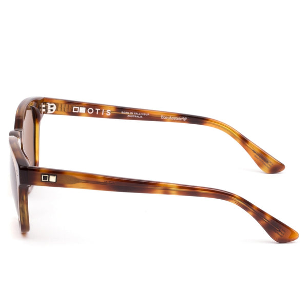 SUMMER OF 67 X - Eco Havana Zinnia / L.I.T Polar Brown